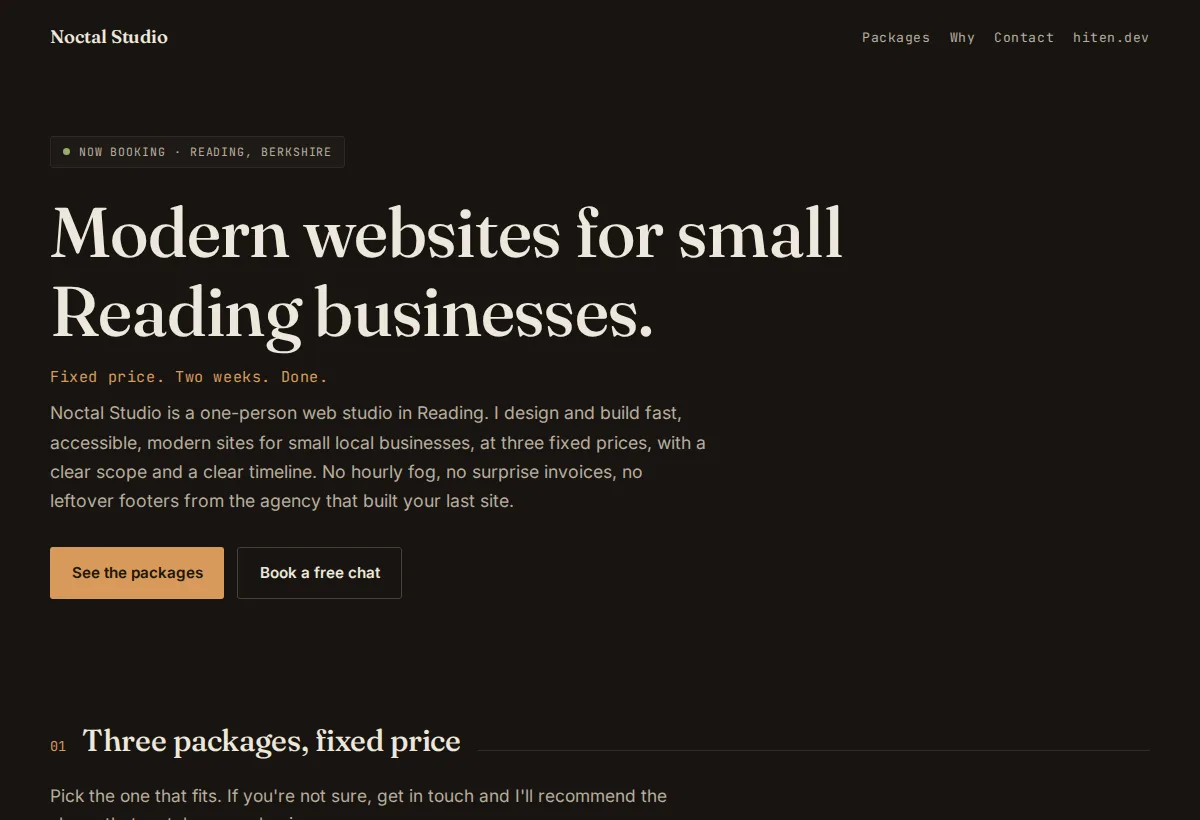 Noctal Studio website homepage